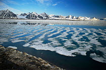 Melting sea ice Kongsfjord Bay, Svalbard, Norway