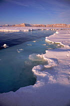 Floe edge where solid sea ice meets open water Canadian Arctic