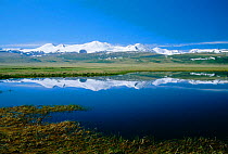 Altai mountains Plateau Ukok - View to China's Five Sacred Peaks from China / Russia border