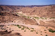 Ephemeral sand river-bed, Hoanib, Namibia