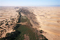 Ephemeral 'sand river' course in dry season, NW Namibia
