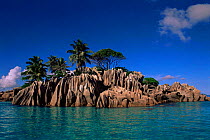 Coconut palms atop granite rock outcrops, Saint Pierre Island, Seychelles, Indian Ocean