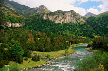 River Ara, Bujareulo, Pyrenees NP, Heusca, Spain