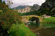 Roman bridge across river, Bujaruelo, Ordesa valley, Pyrenees NP, Huesca, Spain