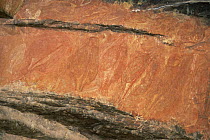 Aboriginal rock art paintings Ubirr, Main Art Gallery, Kakunda NP, Australia Northern Territories