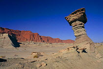 Sedimentary rock formations rich in Triassic fossils, Ischigualasto NR, W Argentina, South America