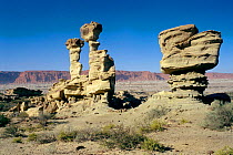 Sedimentary rock formations rich in Triassic fossils, Ischigualasto NR, W Argentina, south America