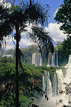 Iguazu falls, Iguassu NP, World heritage area, Argentina, South America