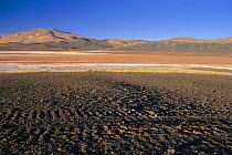 Salt lake landscape, San Guillermo biosphere reserve, Central Andes, Argentina. 3500metres