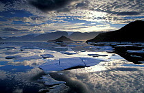 Arctic landscape with ice floes in Alexandra Fjord, Ellesmere Island Canadian Arctic, North America