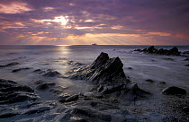 Evening light on the Lizard coastline, Cornwall, UK