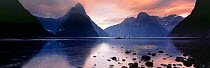 Panoramic view of Milford Sound at dawn, South Island, New Zealand