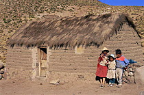 Quechua indian children outside home, Guadalupe commumity, altiplano at 4300m, Potosi, Bolivia