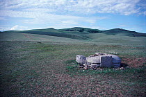 13th century granite tortoise guards ancient city of Karakorum, Mongolia