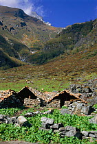 Summer huts in mountains near Simikot, Bajura, Nepal
