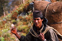 Nepalese man carrying hay, Bajura, Nepal 2001