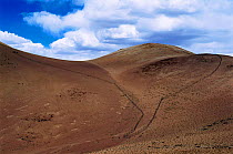 Funnel net fences on hillside to trap wild Vicuna for shearing {Lama vicugna} SW Bolivia, South America - to benefit San Antonio community Dept Potosi 4800m 2001