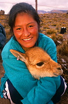 Girl holding wild Vicuna {Lama vicugna} captured for shearing, Andes, SW Bolivia 2001