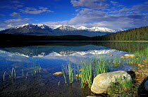 View over Patricia Lake, Jasper National Park, Alberta, Canada, North America