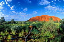 Ayer's Rock (Uluru) Northern Territories, Australia