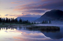 Mount Rundle at dawn, Banff National Park, Alberta, Canada
