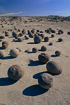 Ball-shaped sandstone formations produced by wind and rain erosion. Ischigualasto NR, W Argentina. South America