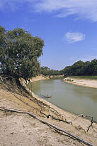River Darling WR in November, New South Wales, Australia