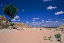 Lunette landscape, Mungo NP, west New South Wales, Australia
