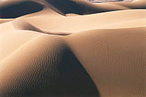 Sand dunes, Barik, Oman