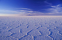Salar de Uyuni, Uyuni salt flats with polygon formations. Desert, Bolivia, South America