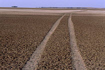 Tyre tracks across salt plain, Rann of Kutch desert, Gujarat, India