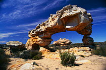 Rock arch in Kagga Kamma in Cederberg Mountains, above Cape Town, South Africa