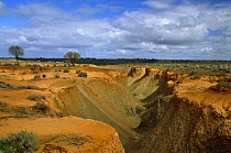 Erosion gully in farmland New South Wales, Australia