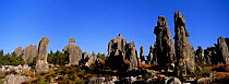 Eroded limestone pinnacles in the Stone forest, Shinling, Yunnan Province. China