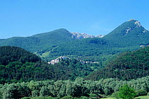 Abruzzo NP, woodland with hilltop village Italy