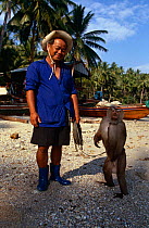 Pigtail macaque {Macaca nemestrina} with trainer Ko Samui, trained to collect coconuts from top of tree, Thailand