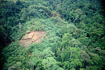 Aerial view of 'Swidden' agriculture, clearing in rainforest. Papua New Guinea 1992