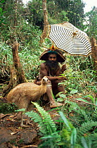 Huli wigman holding umbrella next to Cassowary chick, Papua New Guinea 1992