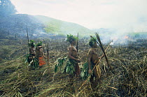 Hagermai hunting party, standing beside burning grassland - which effectively smokes out the wild pigs which they then hunt, Papua New Guinea, 1992