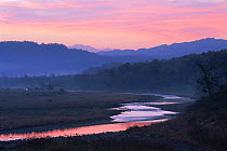 Sunrise over Ramgangar river, Corbett NP, Uttar Pradesh, India