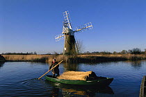 Man transporting reeds in boat with windmill behind, for reed harvest, How Hill, Norfolk Broads, England, UK