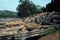 Timber depot, Andaman islands, Indian Ocean