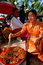 Dai woman cooking at market stall (ethnic minority group) Xishuangbanna, Yunnan, China. 2002