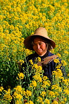 Bai woman in Oil seed rape field. Older woman wears dark colours Erhai lake, Dali, Yunnan, China. 2002