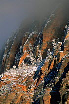 Winter fog descending on snow clad sandstone slopes of Zion National Park, Utah, USA