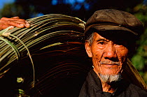 Hani man carries split bamboos Huangcouba, Yuanyang, Yunnan, China 2001