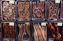 Various animal parts on sale for medicinal use Yunnan, China