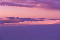 Pink dunes at sunset, White Sands National Monument, New Mexico, USA