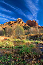 Cathedral Rocks from Oak Creek, Red Rock Crossing, Sedona, Arizona, USA