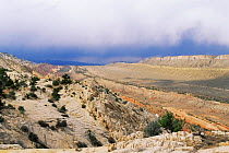Burr Trail from Strike Valley Overlook with storm arising, Waterpocket Fold, Utah, USA
